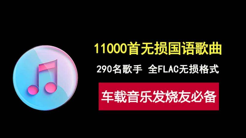 车载音乐发烧友必备，290名歌手，11000首FLAC无损国语歌曲，给你不一样的听感享受！-科技乐小天