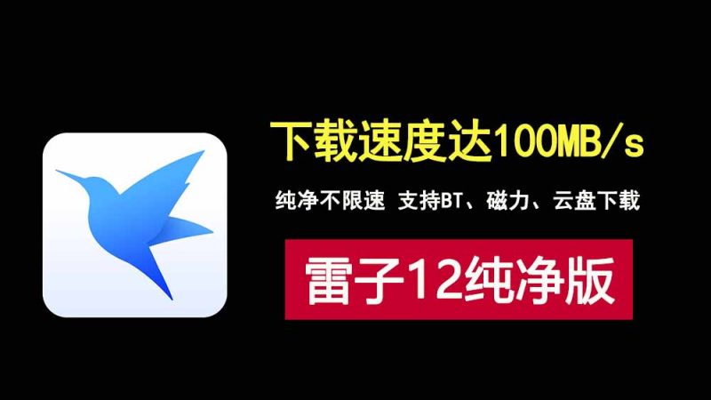 迅雷12便携版，纯净无广不限速，下载速度可达100MB/s，支持BT、磁力、云盘！-科技乐小天