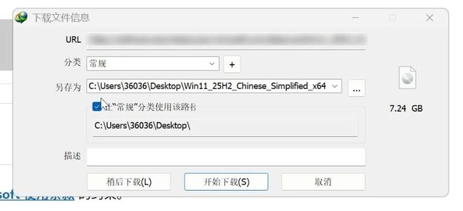 图片[3]-极速下载工具IDM直装版：下载速度可达100MB/s，已激活，即装即用！-科技乐小天