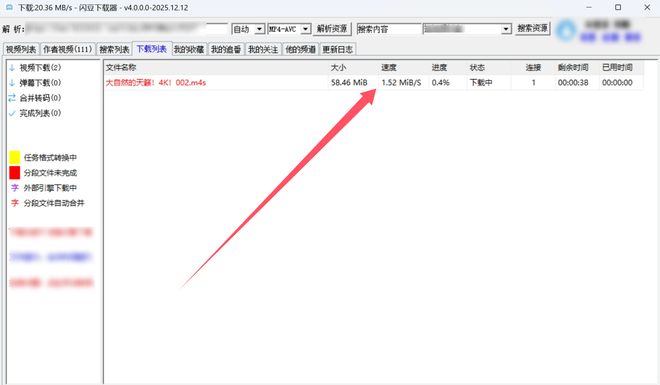 图片[8]-闪豆下载器绿色版：支持8K画质，各大主流平台视频一键下载！-科技乐小天