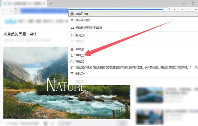 图片[6]-视频下载工具vidbee：支持1800+网站，4K分辨率视频极速下载！-科技乐小天