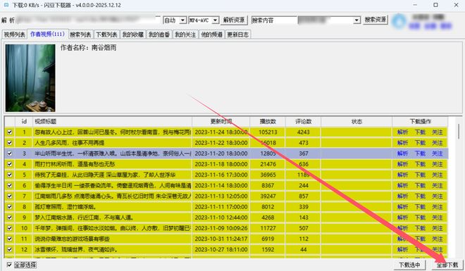 图片[10]-闪豆下载器绿色版：支持8K画质，各大主流平台视频一键下载！-科技乐小天