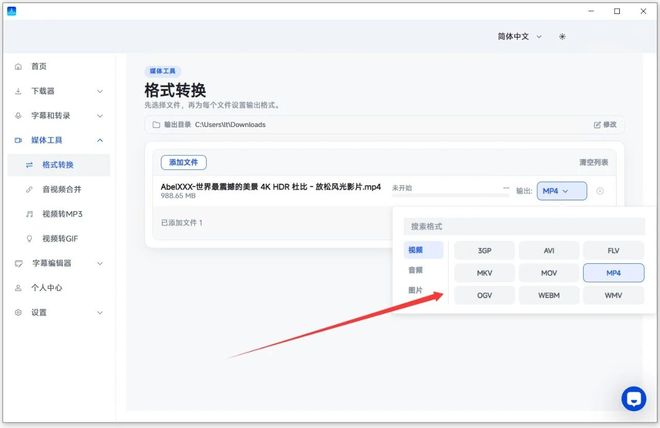 图片[12]-视频下载工具DataTool直装版：能下90%短视频平台的4K视频，内置字幕提取、格式转换！-科技乐小天
