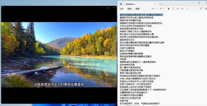 图片[12]-语音识别V0.1：一款强大的音视频语音转文字工具，可离线使用，文字识别准确率达99%！-科技乐小天