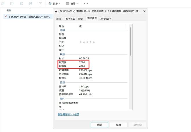 图片[9]-bilidown便携版：一款强大的B站视频下载工具，支持8K视频、无损音质下载！-科技乐小天