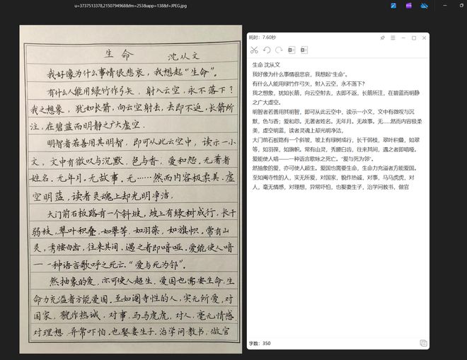 图片[8]-SpCat0.0.8安装版：一款免费的OCR截图工具，可一键提取文字、表格、公式，支持离线使用！-科技乐小天