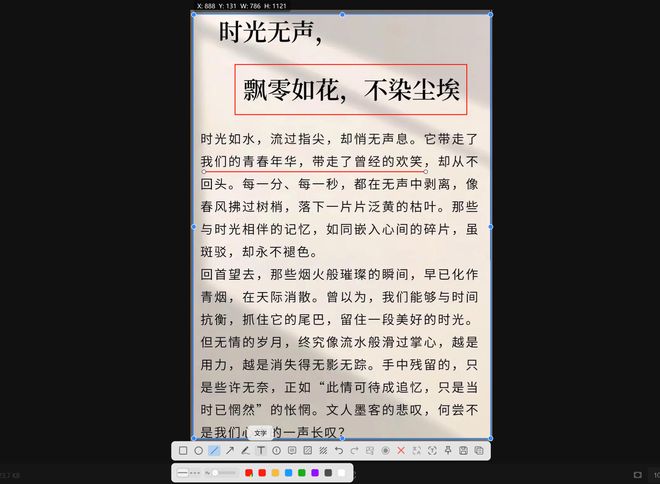 图片[5]-SpCat0.0.8安装版：一款免费的OCR截图工具，可一键提取文字、表格、公式，支持离线使用！-科技乐小天