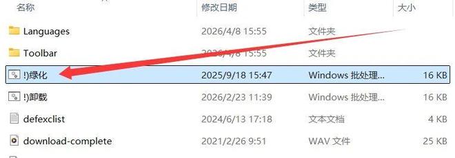 图片[3]-Internet Download Manager绿色版：下载速度达120MB/s，下载8GB文件仅需1分钟！-科技乐小天