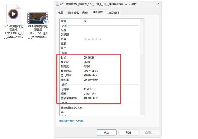 图片[7]-BiliDownloader直装版：一款B站视频下载工具，支持8K分辨率超清视频下载！-科技乐小天