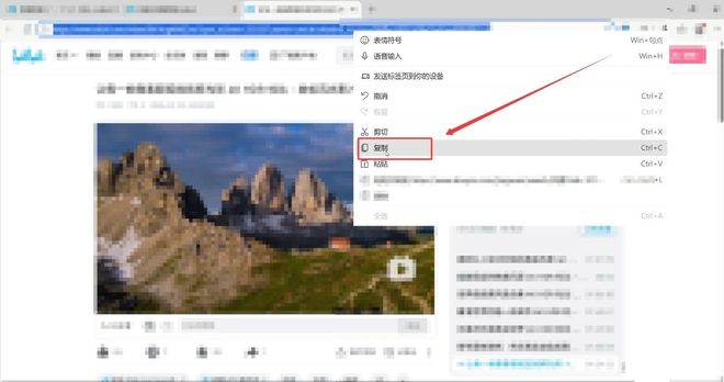 图片[12]-Free Download Manager直装版：下载速度达110MB/s！可下磁力和BT，支持抓取网页音视频！-科技乐小天
