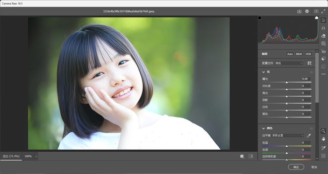 图片[10]-Photoshop2026 27.9.1正式版：一键安装，内置CRW18.5、神经网络滤镜！-科技乐小天