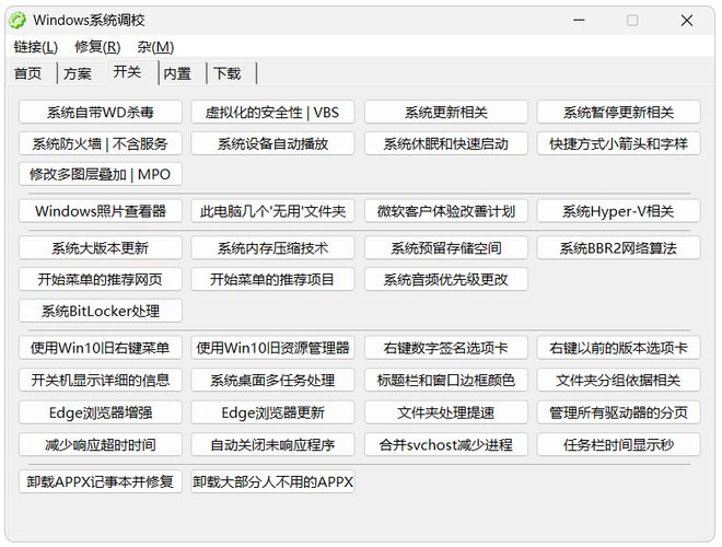 图片[5]-Windows系统调校工具：一键调校Windows设置，让老电脑流畅到飞起！-科技乐小天