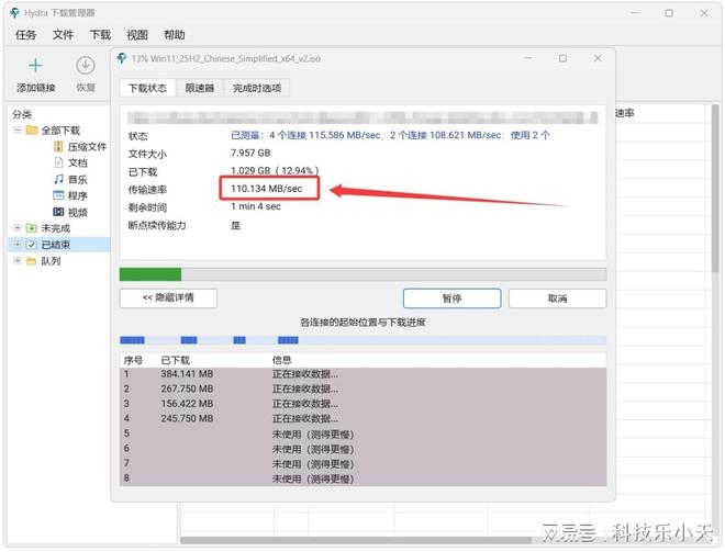 图片[5]-Hydra Download Manager：一款极速下载工具，下载速度可达110MB/s，支持网页音视频抓取！-科技乐小天