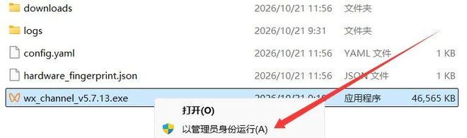 图片[4]-wx_channel：一款微信视频号下载工具，支持下载1080P高清画质！-科技乐小天